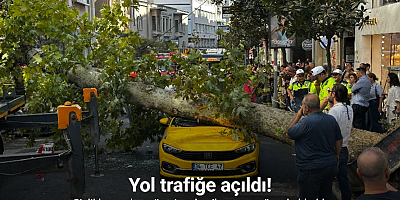 Şişli’de araçların üzerine devrilen çınar ağacı kaldırıldı