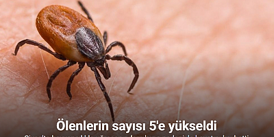 Sivas’ta hayvancılıkla uğraşan adam kene nedeniyle hayatını kaybetti