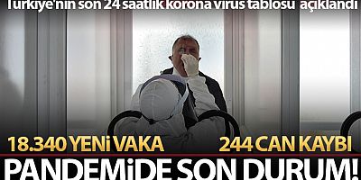 Son 24 saatte korona virüsten 244 kişi hayatını kaybetti