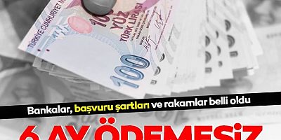 SON DAKİKA 6 ay ödemesiz 12 taksitle kredi fırsatı