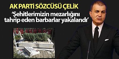 SON DAKİKA AK Parti Sözcüsü Çelik: 'Şehitlerimizin kabirlerinin de bulunduğu mezarlığı tahrip eden barbarlar yakalandı'