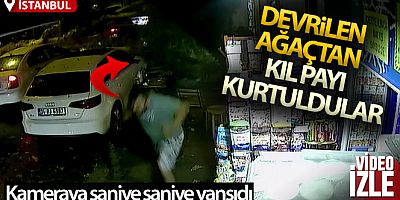 SON DAKİKA Beykoz'da devrilen ağaçtan kıl payı kurtuldular, o anlar kameraya yansıdı