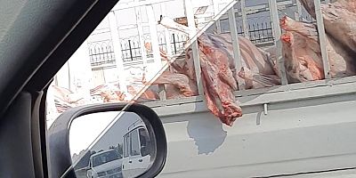 SON DAKİKA Böylesi hiç görülmedi Hangi hayvana ait olduğu bilinmeyen etleri