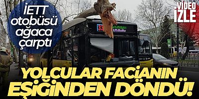 SON DAKİKA Fatih'te facianın eşiğinden dönüldü: İçinde yolcuların bulunduğu İETT otobüsü ağaca çarptı