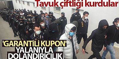 SON DAKİKA Garantili kupon' yalanıyla vatandaşı dolandırıp tavuk çiftliği kurdular