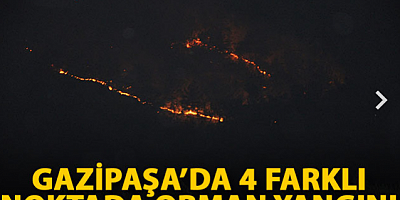 SON DAKİKA Gazipaşa’da 4 farklı noktada orman yangını