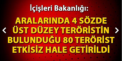 SON DAKİKA İçişleri: 4 sözde üst düzey teröristin içinde olduğu 80 terörist etkisiz hale getirildi