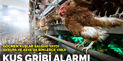 SON DAKİKA  Kuş Gribi Alarmı Avrupa Ve Asya'da