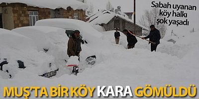 SON DAKİKA Muş'ta bir köy kara gömüldü