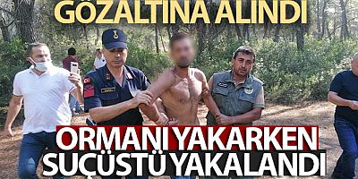 SON DAKİKA Ormanı yakarken suçüstü yakalandı