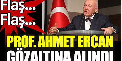 SON DAKİKA Son dakika. Deprem bilimci Ahmet Ercan gözaltına alındı