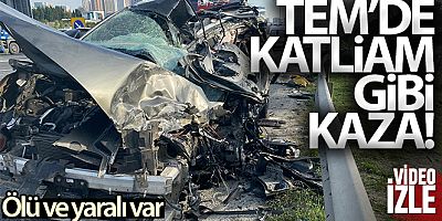 SON DAKİKA TEM'de can pazarı : Ölü ve yaralılar var