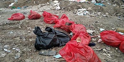 SON DAKİKA Toprağın altında 20 köpek ölüsü çıktı 
