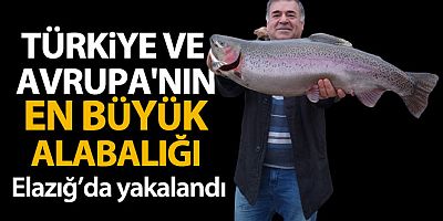 SON DAKİKA Türkiye ve Avrupa'nın en büyük alabalığı Elazığ'da olta ile yakalandı