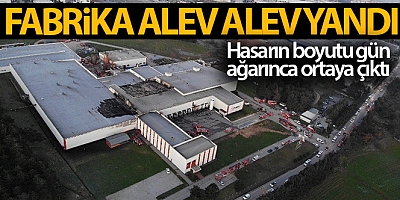 SON DAKİKA Tuzla'da yanan et fabrikasındaki hasarın boyutu gün ağarınca ortaya çıktı