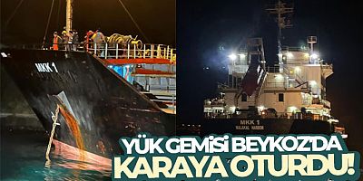 SON DAKİKA Yük gemisi Beykoz'da karaya oturdu!