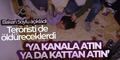SON GELİŞME Bakan Soylu açıkladı! Teröristi de öldüreceklerdi... 'Ya kanala atın, ya da kattan atın'