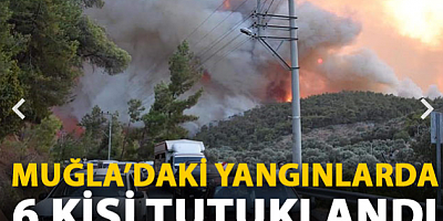 SON GELİŞME Muğla’da zeytinlik ve ormanlık alandaki yangınlara 6 tutuklama