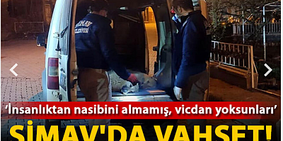 SON GELİŞME Simav'da zehirlenen 5 sokak köpeği öldü: 1 gözaltı