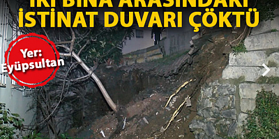 Son yağışlar Konya Ovası'nda çiftçinin yüzünü güldürdü 