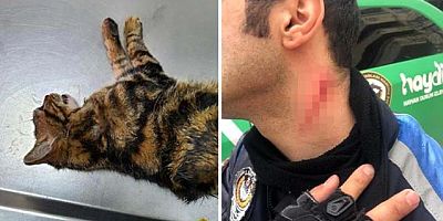 Sopayla kediye eziyet eden cani ruhlu şahıs zabıtaya da saldırdı