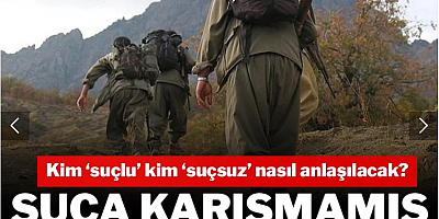 Suça karışmamış PKK'lı olur mu?