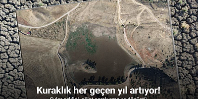 Sular çekildi, kuraklık göleti çorak araziye dönüştürdü
