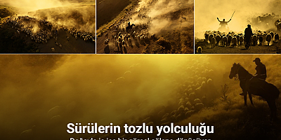 Sürülerin tozlu yolculuğu havadan görüntülendi