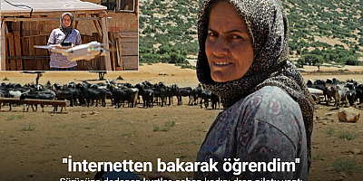Sürüsüne dadanan kurtlar, çoban kadını dron pilotu yaptı