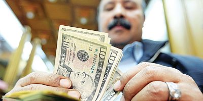 Tamamen çılgınlık