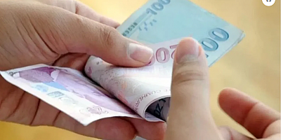 Tamamlayıcı Emeklilik Sigortasının Detayları Belli Oldu! Ek Gelir ve Yaş Şartı Açıklandı