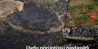 Taraklı orman yangınından geriye kalanlar