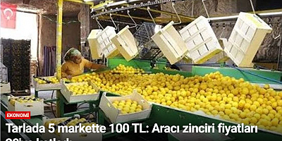 Tarlada 5 markette 100 TL: Aracı zinciri fiyatları 20'ye katladı