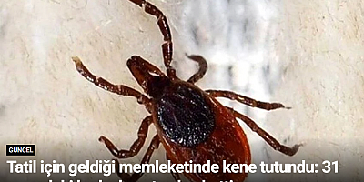 Tatil için geldiği memleketinde kene tutundu: 31 yaşındaki kadın hayatını kaybetti