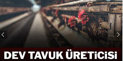 Tavukçuluk sektörünün önde gelen şirketi konkordato ilan etti