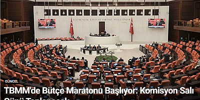 TBMM'de Bütçe Maratonu Başlıyor: Komisyon Salı Günü Toplanacak