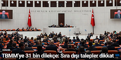 TBMM’ye 31 bin dilekçe: Sıra dışı talepler dikkat çekti