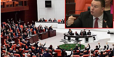 TBMM’yi karıştıran bütçe değil 6 yaşındaki kızın evlendirilmesi oldu! MHP’den çok konuşulacak “idam” çıkışı