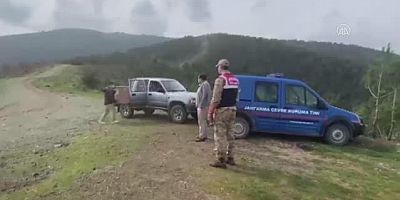 Tedavisi tamamlanan kızıl şahin doğaya salındı