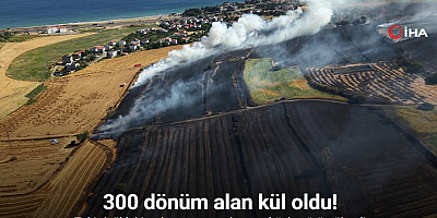 Tekirdağ’da buğday tarlalarına sıçrayan yangında 300 dönüm alan kül oldu