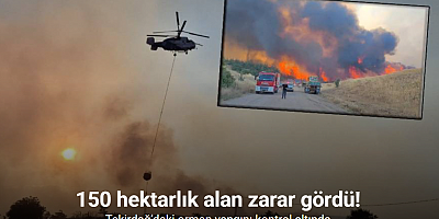 Tekirdağ’daki orman yangını kontrol altına alındı