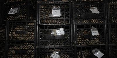 Tekirdağ Valiliğinden Çanakkale Şehitliği haberleriyle ilgili açıklama