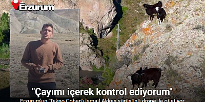 Tekno Çobanın fendi inatçı keçileri yendi