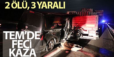 TEM'de feci kaza: 2 ölü, 3 yaralı