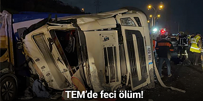 TEM’de feci ölüm: Kullandığı tırın altında kalan sürücü hayatını kaybetti, 2 yaralı