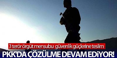 Terör örgütü PKK'da çözülme devam ediyor!