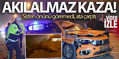 Ticari taksi seyir halindeyken önüne çıkan ata çarptı