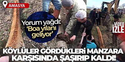 Tıkanan su borusundan 6 metrelik kök çıktı, köylüler şaşırdı: 'Boa yılanı geliyor'