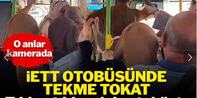 Tıklım tıklım dolu otobüste yolcular çığlık çığlığa