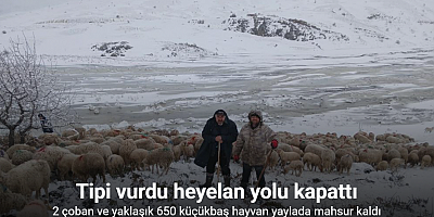 Tipi vurdu heyelan yolu kapattı, 2 çoban ve yaklaşık 650 küçükbaş hayvan yaylada mahsur kaldı